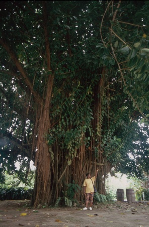 Enlarge photo 112