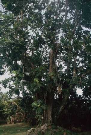 Enlarge photo 113