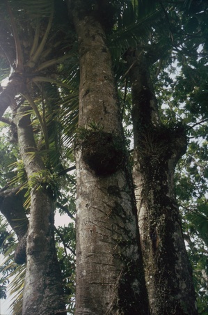 Enlarge photo 114