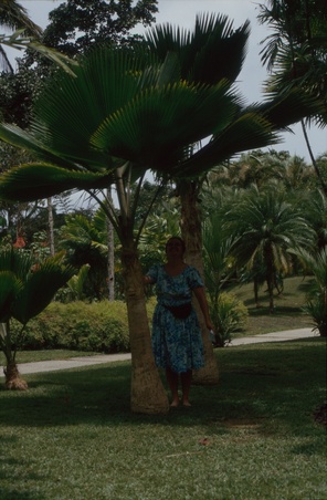Enlarge photo 115