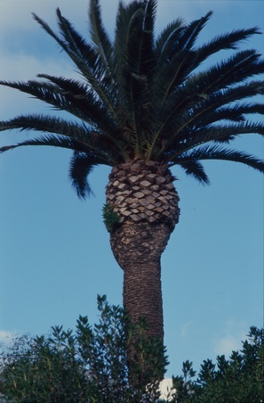 Enlarge photo 4