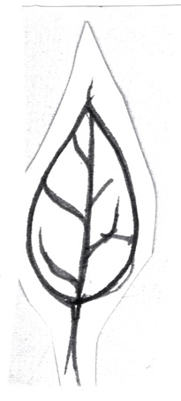 Enlarge photo 35