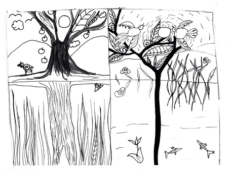 Enlarge photo 42