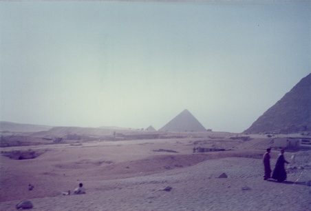Enlarge photo 82