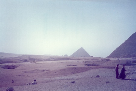 Enlarge photo 81