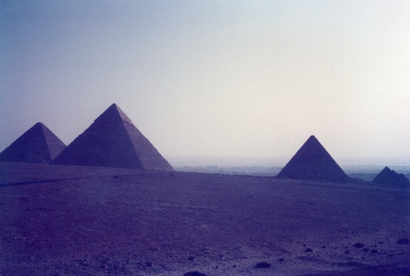 Enlarge photo 75