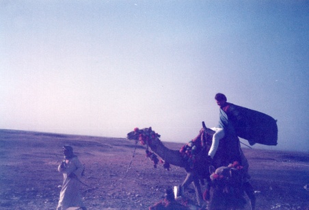 Enlarge photo 57