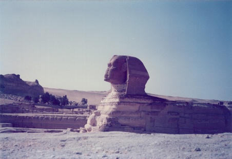 Enlarge photo 46