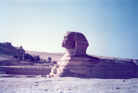 Enlarge photo 45