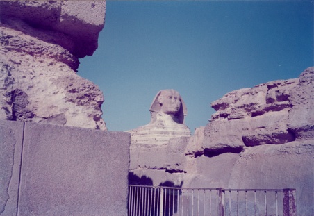 Enlarge photo 40