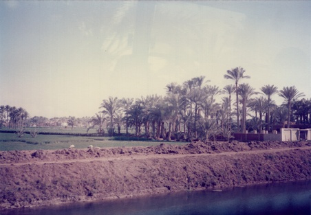 Enlarge photo 36