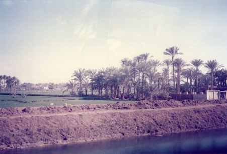 Enlarge photo 35