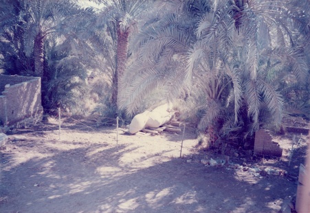 Enlarge photo 2