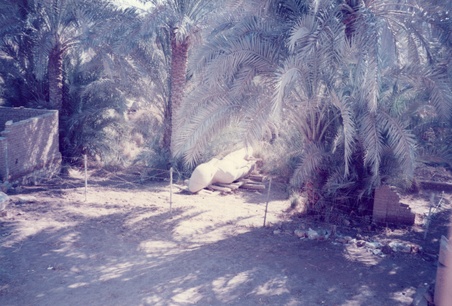 Enlarge photo 1