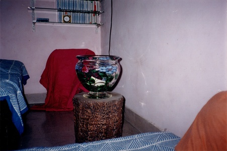 Enlarge photo 11