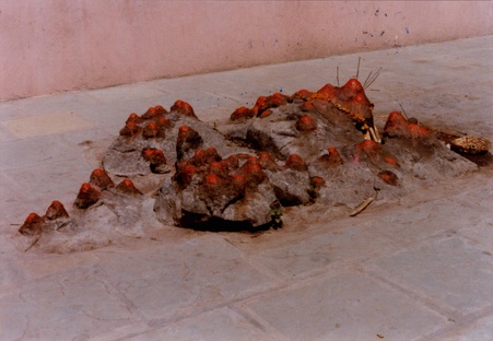 Enlarge photo 31