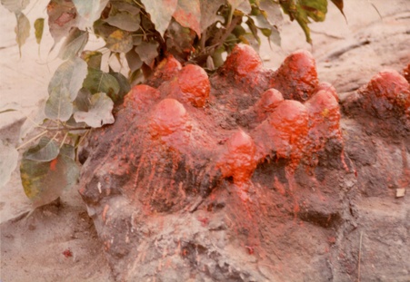 Enlarge photo 32