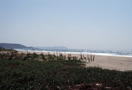 Enlarge photo 18