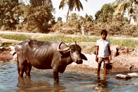 India Tours by Colin Heinsen