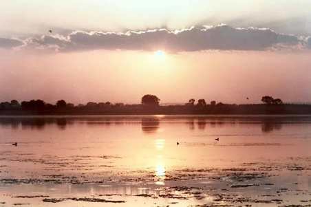 Enlarge photo 50