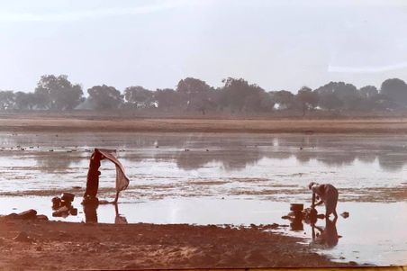 Enlarge photo 54