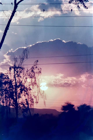 Enlarge photo 72