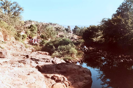 Enlarge photo 84
