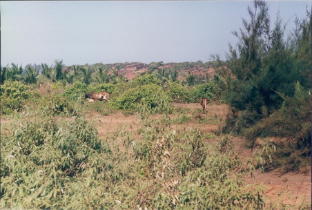 Enlarge photo 5