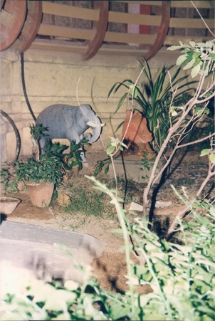 Enlarge photo 17