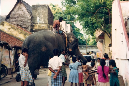 Enlarge photo 23