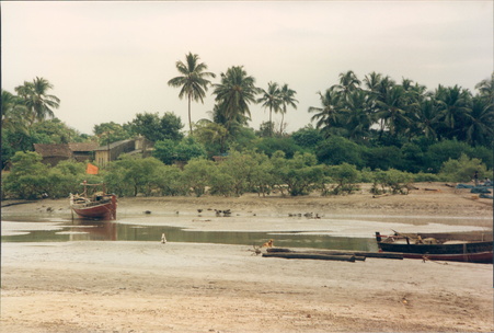Enlarge photo 40