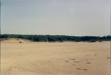 Enlarge photo 46