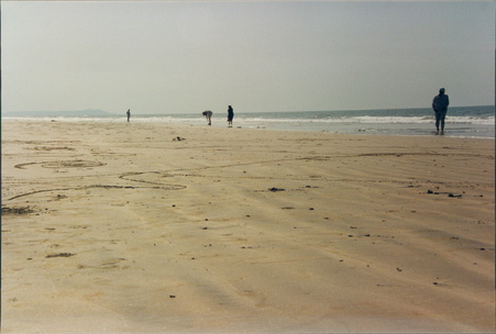Enlarge photo 47