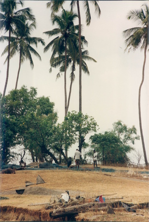 Enlarge photo 50