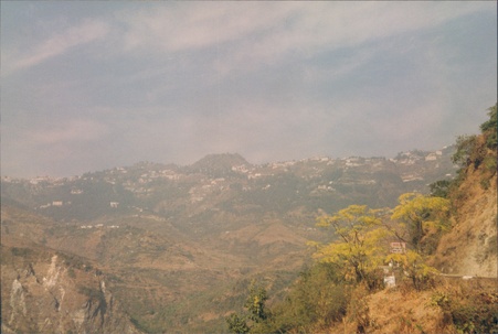Enlarge photo 125