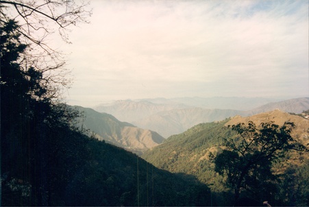 Enlarge photo 126