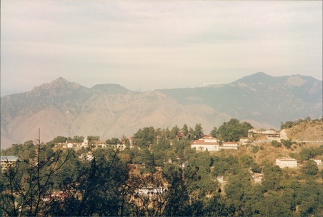 Enlarge photo 127