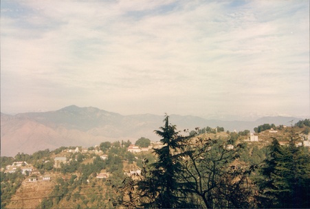 Enlarge photo 129