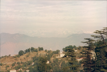 Enlarge photo 130