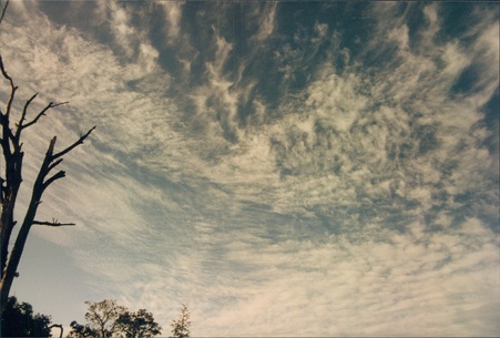 Enlarge photo 131