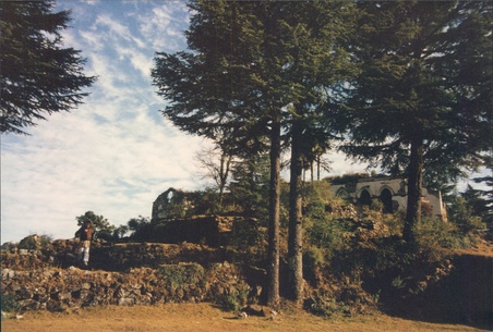 Enlarge photo 132