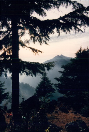 Enlarge photo 135