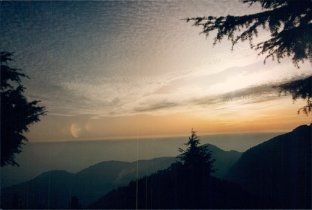 Enlarge photo 137
