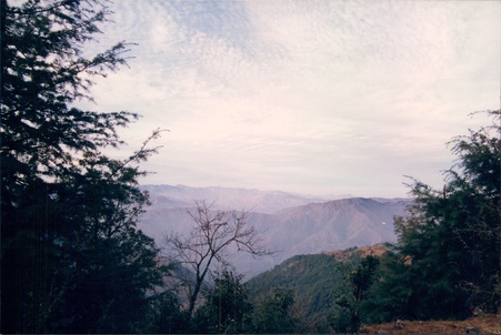 Enlarge photo 138