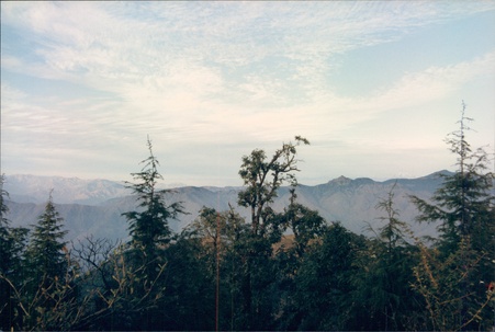 Enlarge photo 139