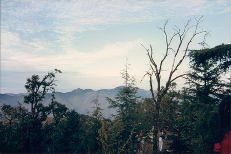 Enlarge photo 140