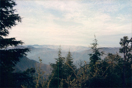 Enlarge photo 141