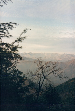 Enlarge photo 142