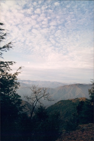 Enlarge photo 143