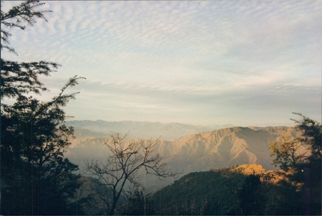 Enlarge photo 145
